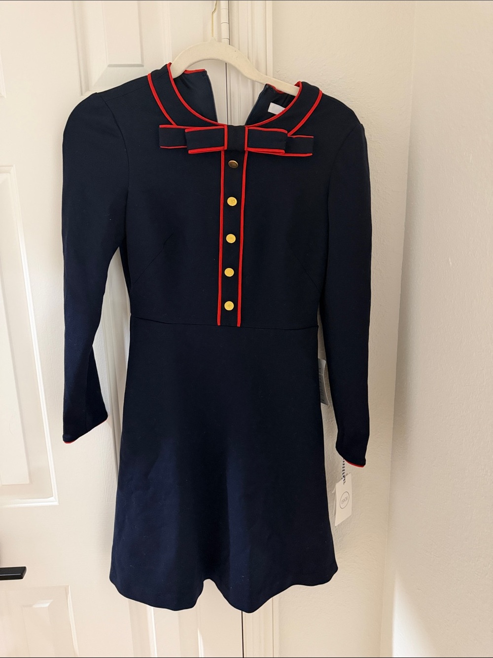 1901 Navy Dress with Red Trim and Gold Buttons